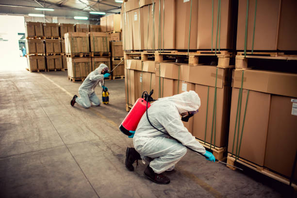 Best Best Pest Control Companies  in Russiaville, IN