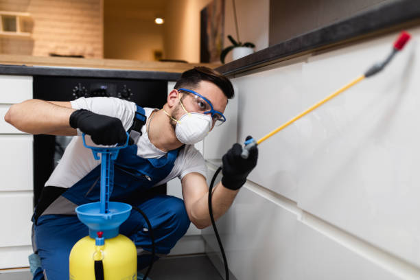 Best Termite Control Services  in Russiaville, IN