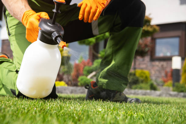 Best Wildlife Control Services  in Russiaville, IN