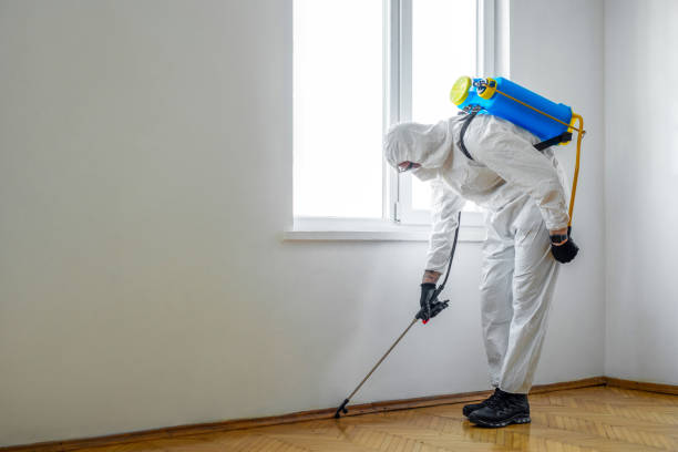 Trusted Russiaville, IN Pest Control Experts