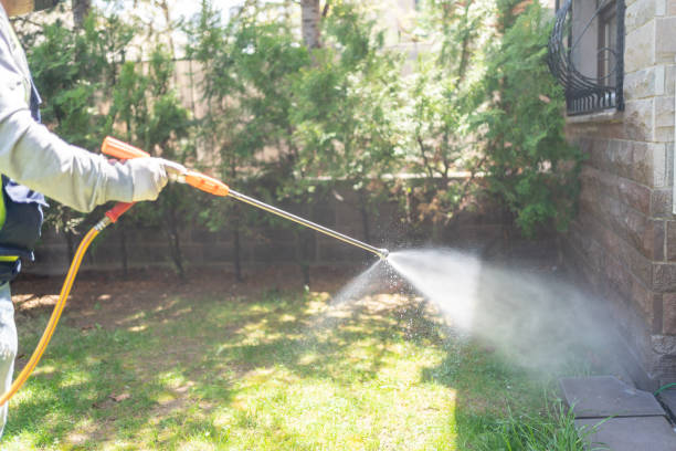 Best Flea Control Services  in Russiaville, IN