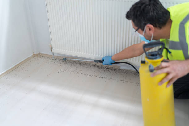Best Pest Removal Services  in Russiaville, IN