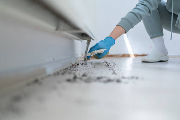 Best Emergency Pest Control  in Russiaville, IN